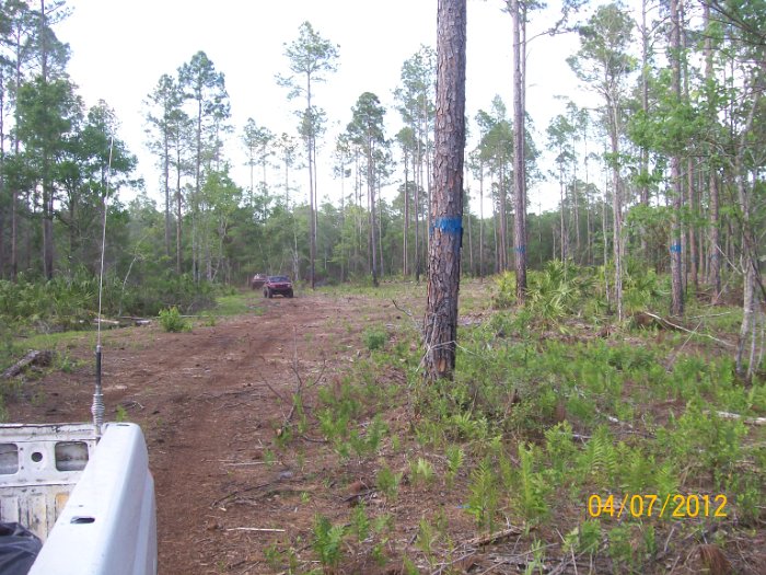 2012-Apr-07HGR4X4_nightride 005